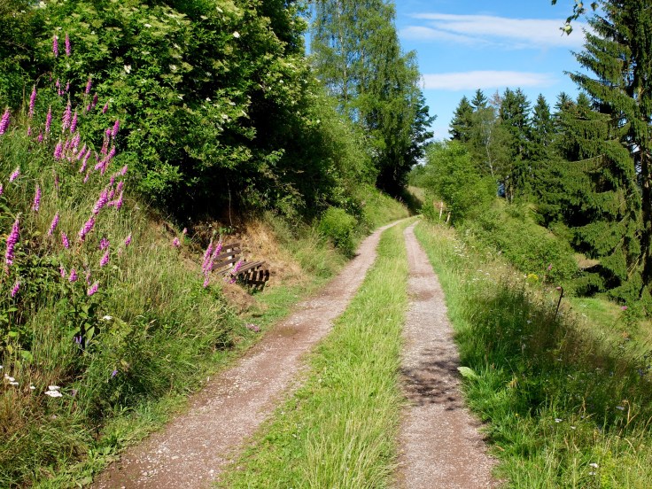 Mönchshof-Ilmenau - 11 von 20