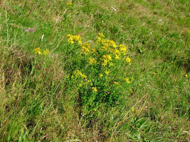 Mönchshof-Ilmenau - 13 von 20