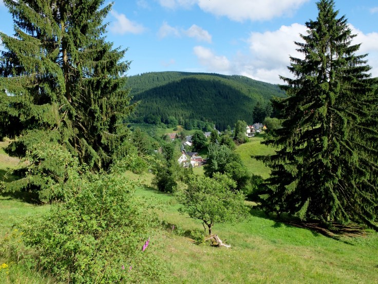 Mönchshof-Ilmenau - 14 von 20