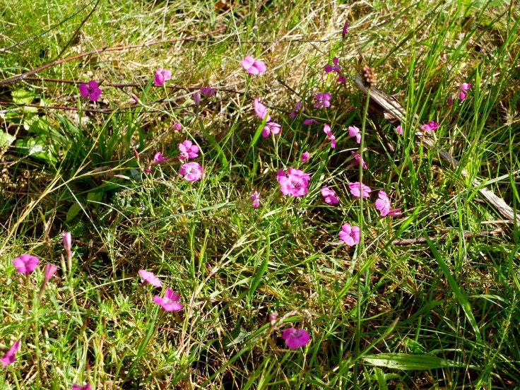 Mönchshof-Ilmenau - 16 von 20