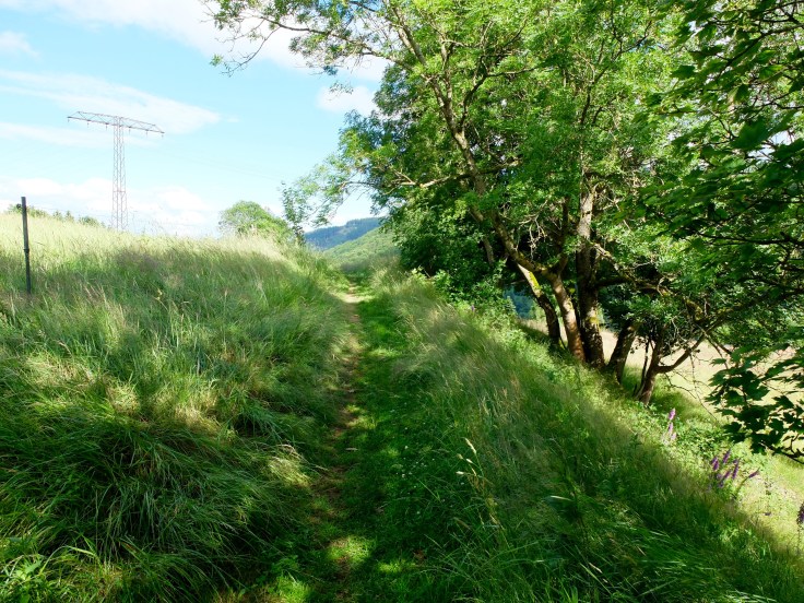 Mönchshof-Ilmenau - 18 von 20