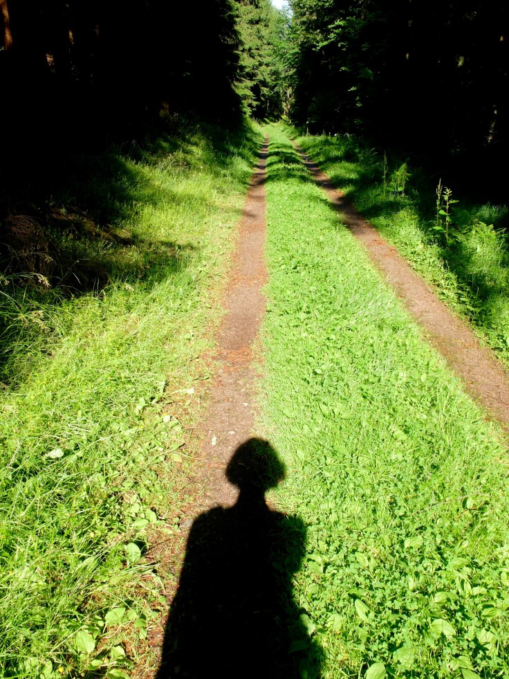 Mönchshof-Ilmenau - 19 von 20