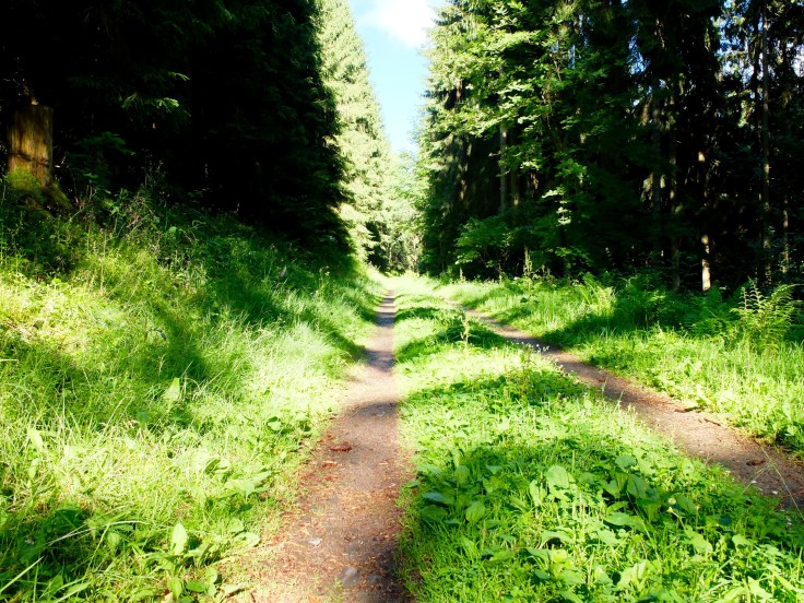 Mönchshof-Ilmenau - 20 von 20