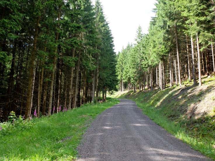 Mönchshof-Ilmenau - 6 von 20