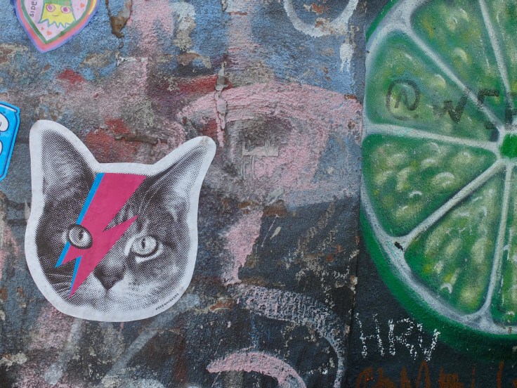 D130A811-F62A-4FA5-8414-B12FDFFAF65D